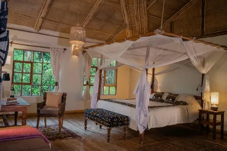 Bwindi Lodge room