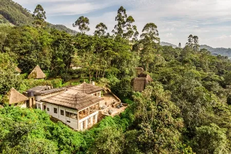 Bwindi Lodge view