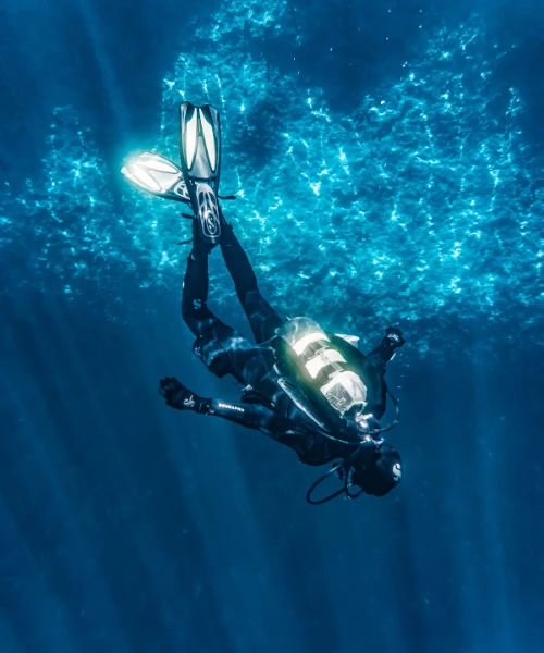 Man diving in Galapagos with fish