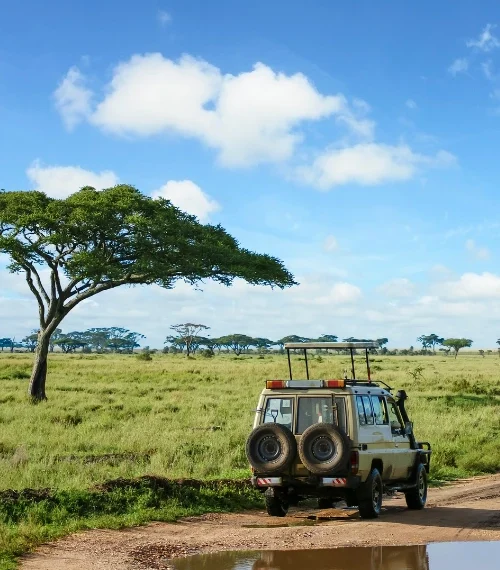 Safari car driving on a road in Kruger National Park
