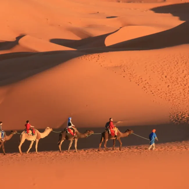People riding camels across the Sahara Desert, which is one of the best places to visit in Morocco