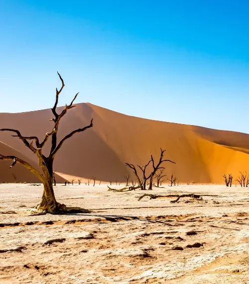 Namibia desert safari landscape