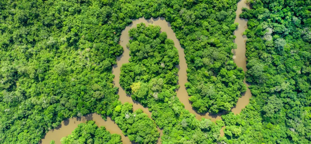 Aerial view of the Congo Basin