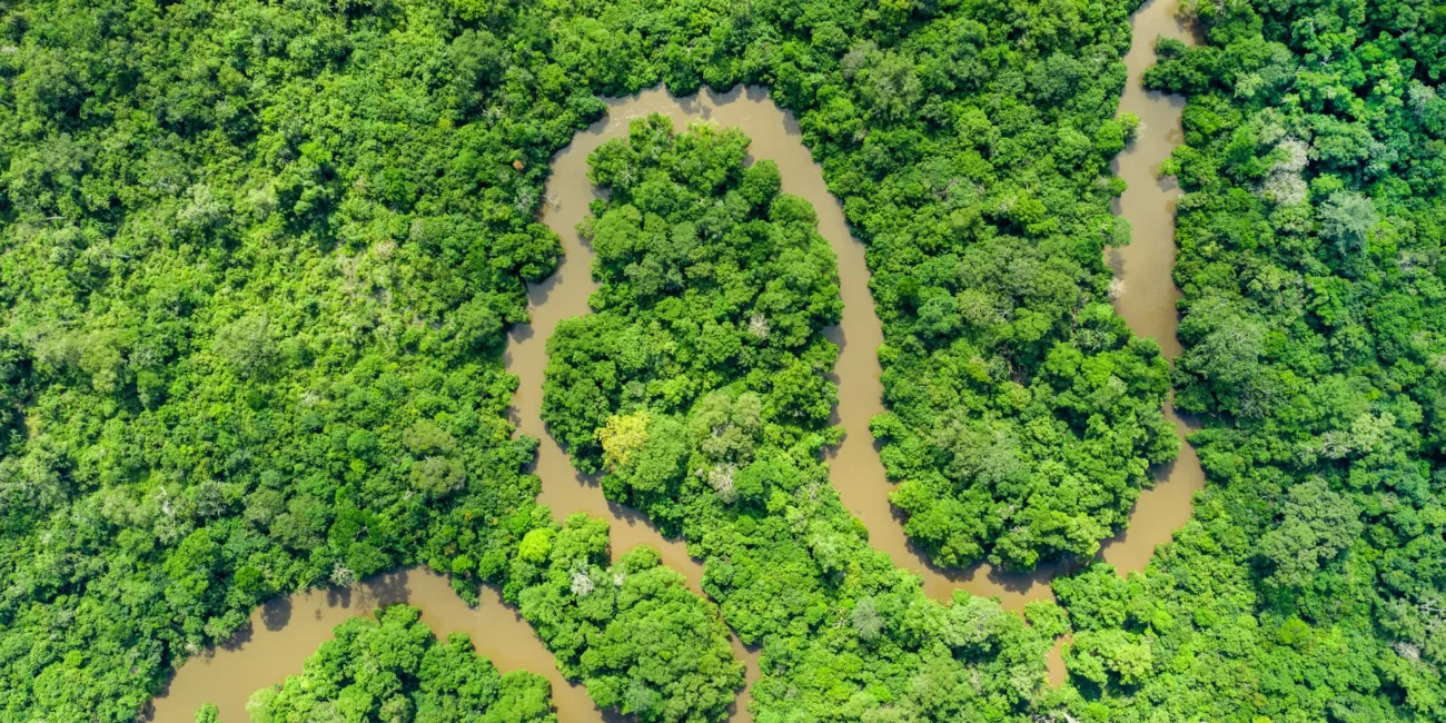 Aerial view of the Congo Basin