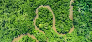 Aerial view of the Congo Basin