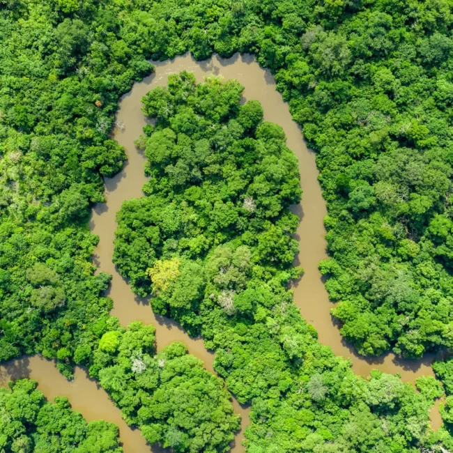 Aerial view of the Congo Basin
