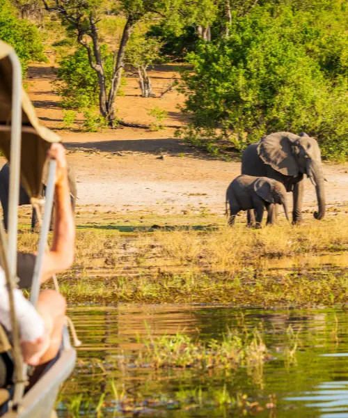 Elephant with her baby seen on a game drive