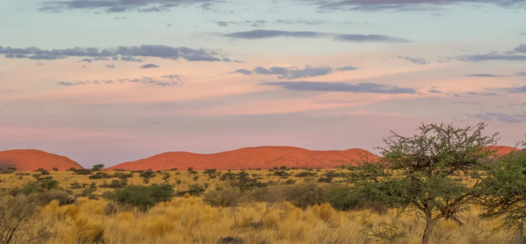 Tswalu, Kalahari at sunset