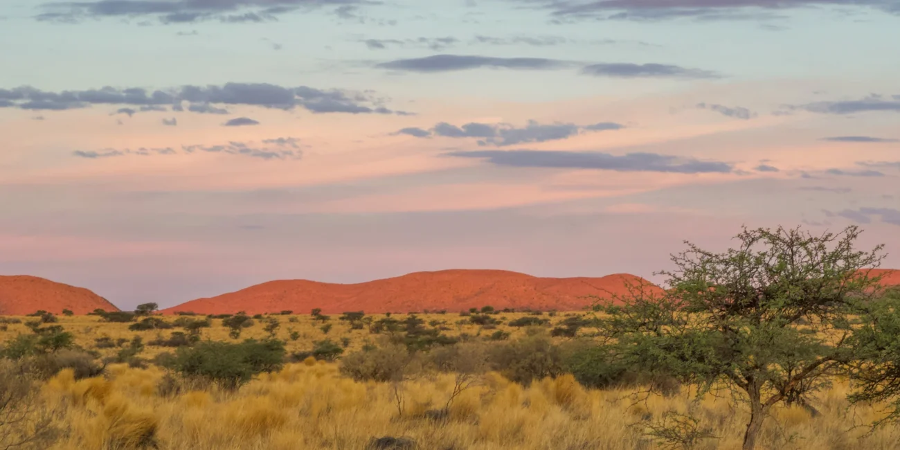 Tswalu, Kalahari at sunset