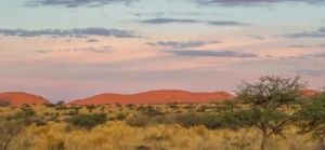 Tswalu, Kalahari at sunset