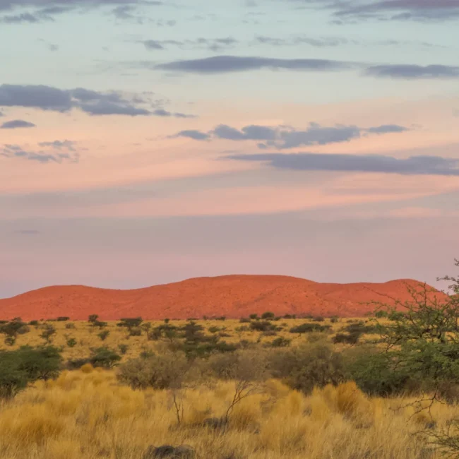Tswalu, Kalahari at sunset