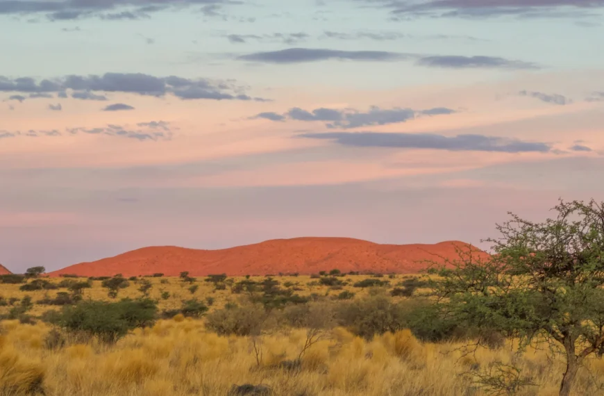 Tswalu, Kalahari at sunset