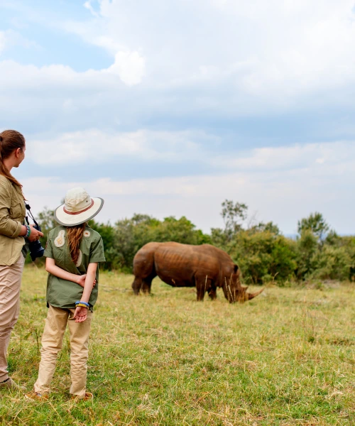 Rhino seen on a walking safari