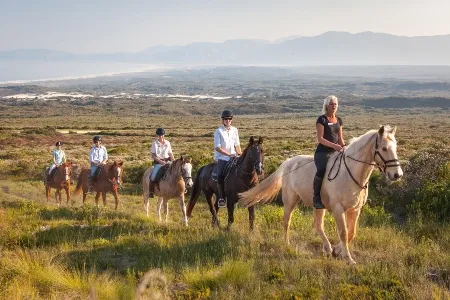 Horseback Experience Through Grootboss