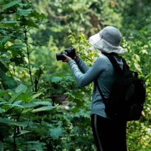 Uganda - Bwindi Impenetrable Forest - Guided Nature Walk