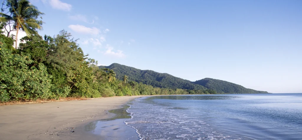 Beach in Daintree National Park, Australia