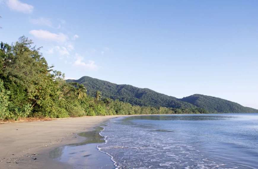 Beach in Daintree National Park, Australia