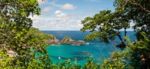 Fernando de Noronha sea through the trees