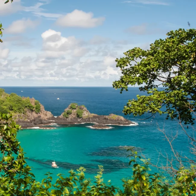 Fernando de Noronha sea through the trees