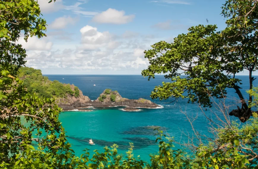 Fernando de Noronha sea through the trees