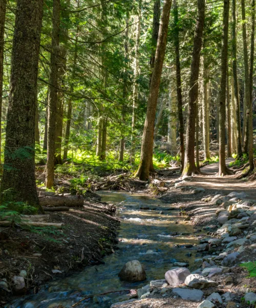 best things to do in Montana