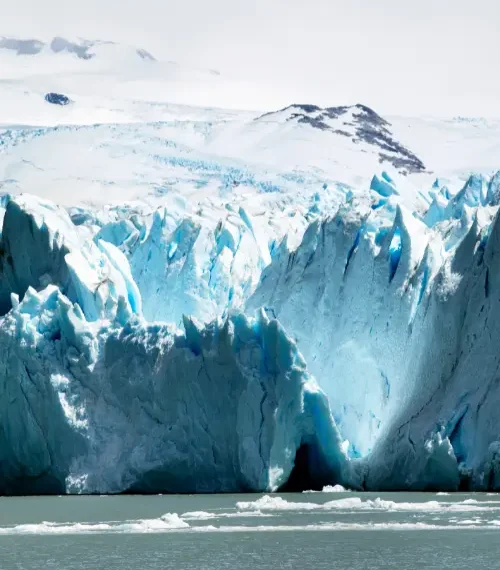 Rewilding Patagonia's giant ice fields