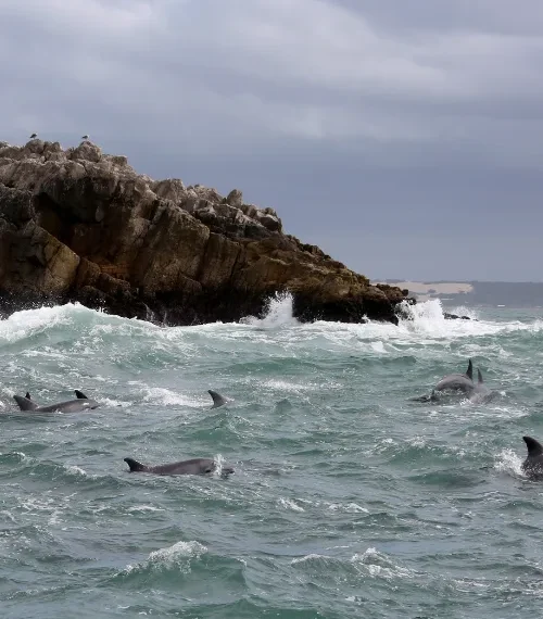south africa beaches