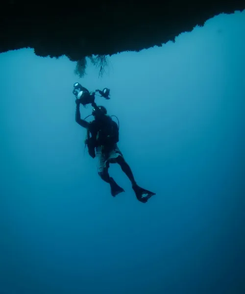 Dive in the australian waters_converted