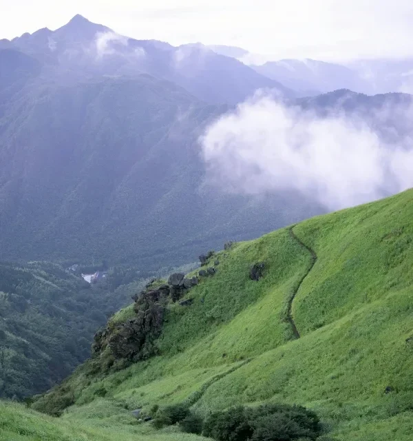 Our Commitment to a Thriving Planet