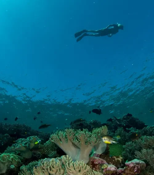 best islands in indonesia