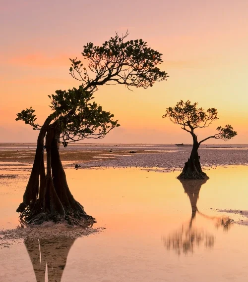 best islands in indonesia