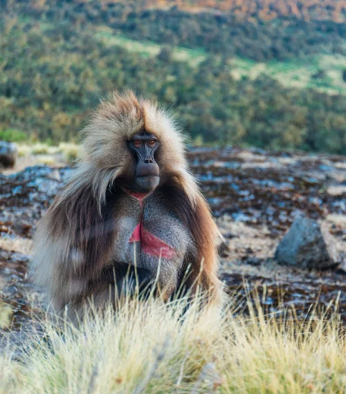 hiking in africa