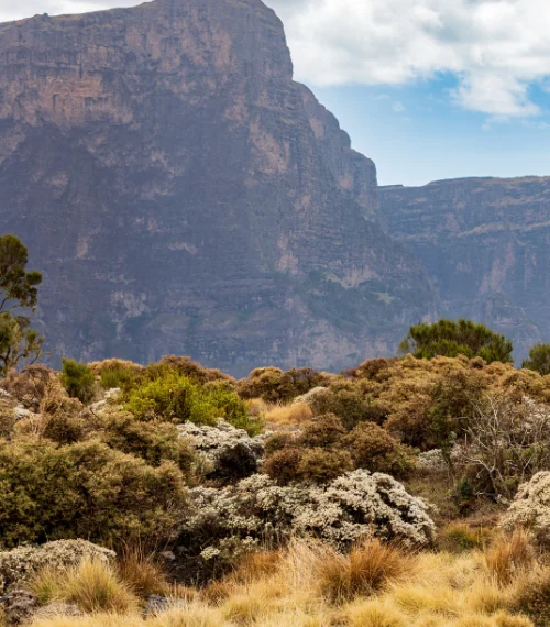 hiking in africa