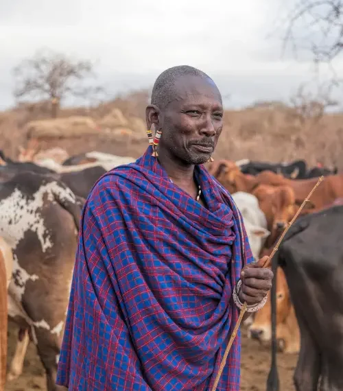 maasai culture