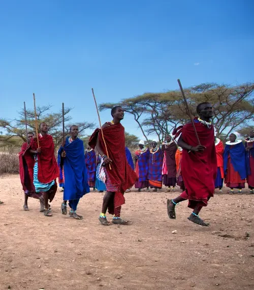 maasai culture