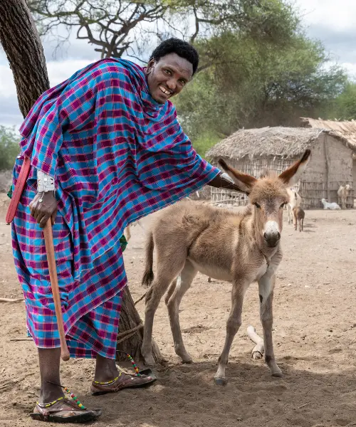 maasai culture