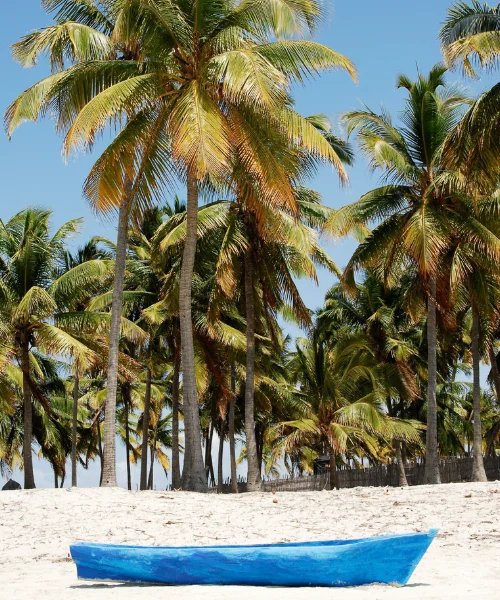 things to do in mozambique