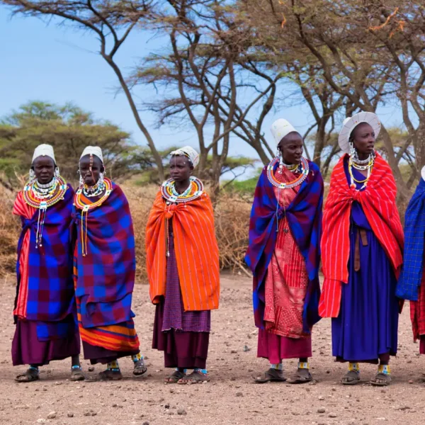 maasai culture
