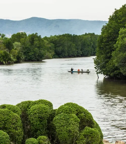 River lined with trees in Mozambique