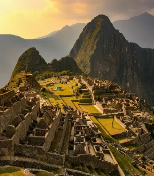 south america family safari