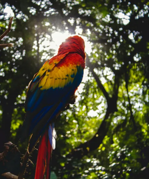 family travel in south america