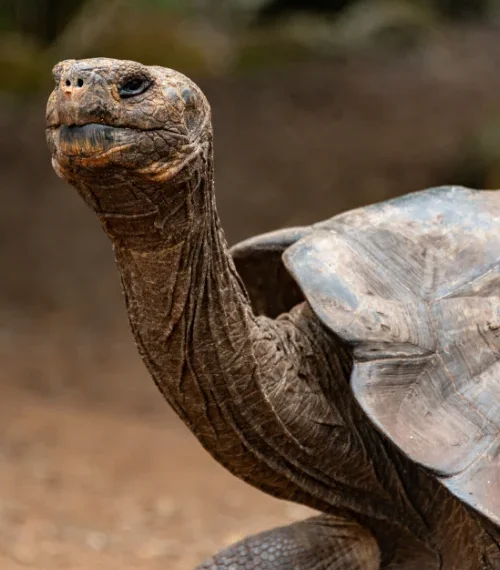 best cities to visit in Africa