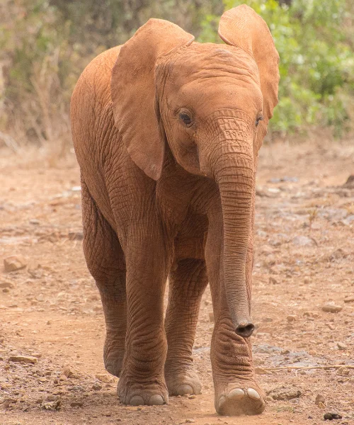 best cities to visit in Africa