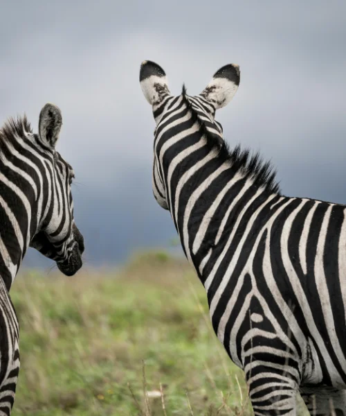 best cities to visit in Africa