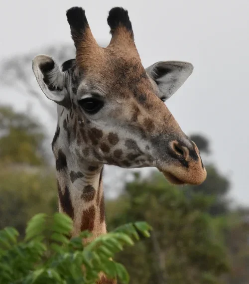 best cities to visit in africa