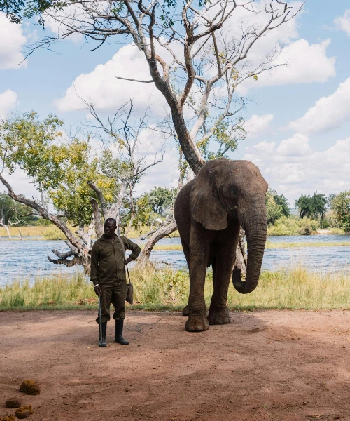 wildlife conservation in zambia