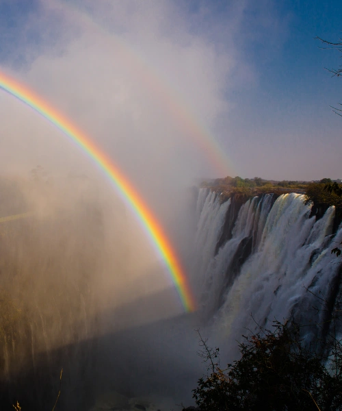 wildlife conservation in zambia