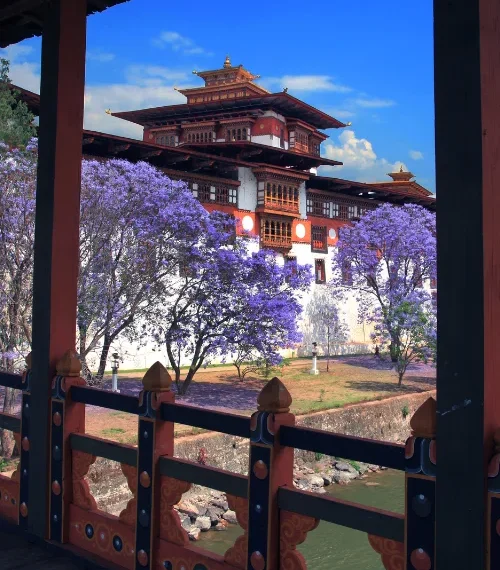 Traditional monastry in Bhutan with purple flowers