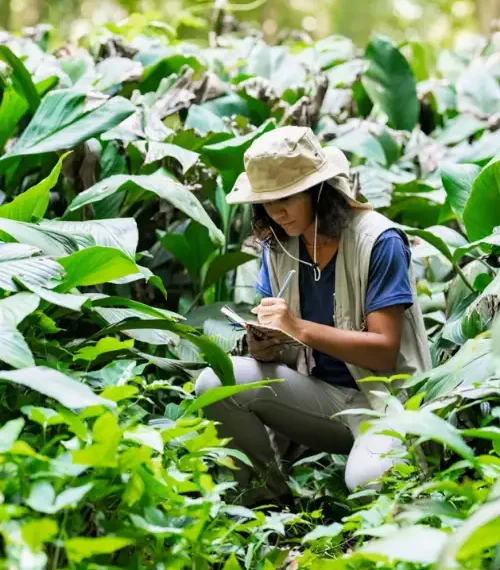 Female guide surrounded by jungle