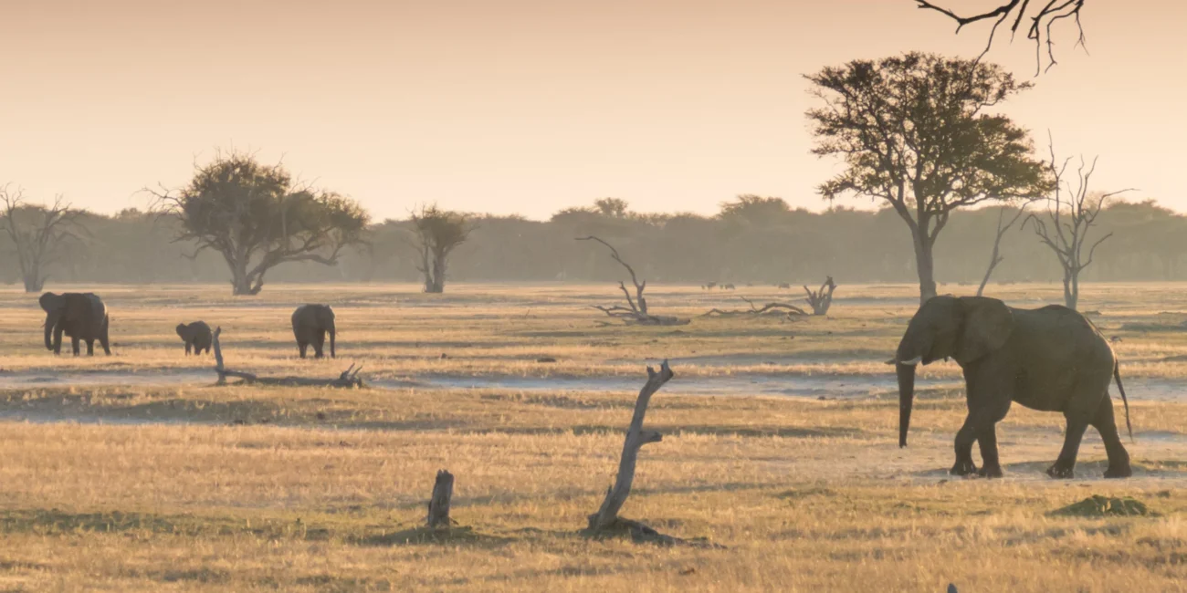 best walking safaris in africa